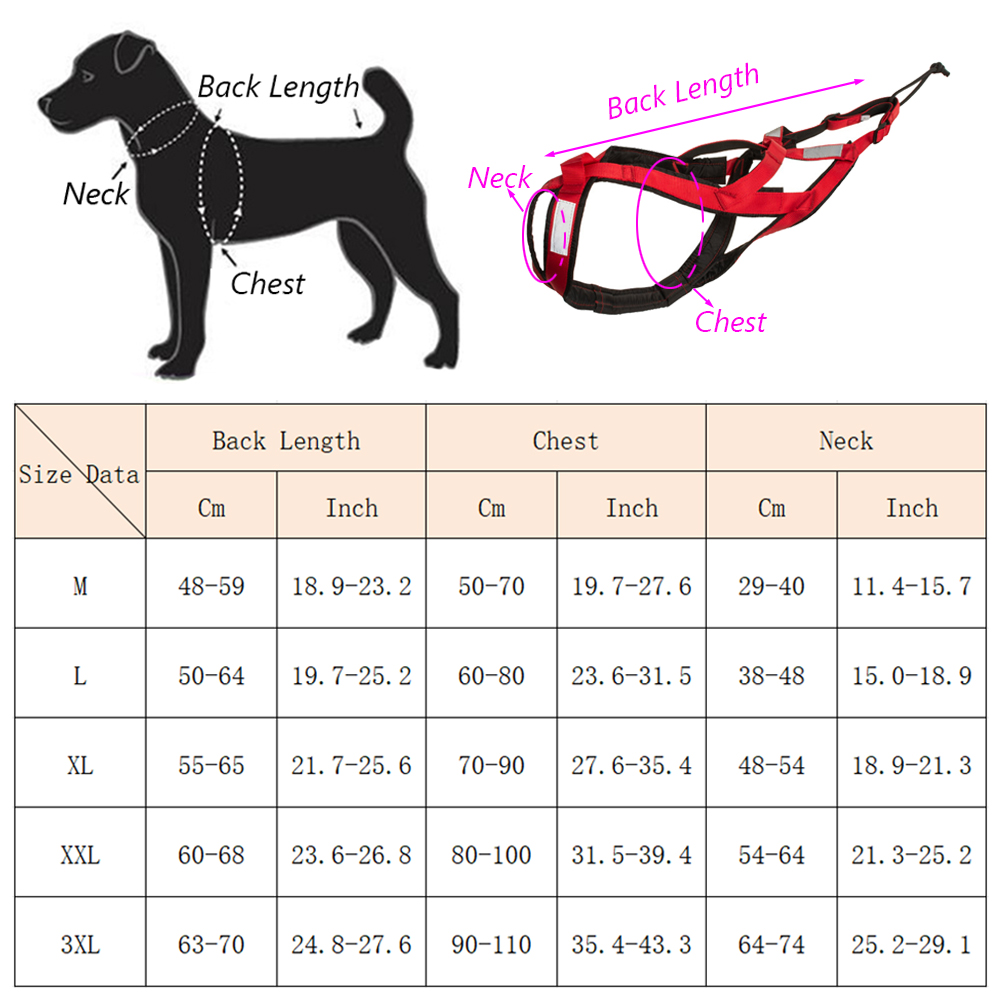 High Quality Big Dog Sledge Ha - đánh giá và giá Reflective Running Jacket
