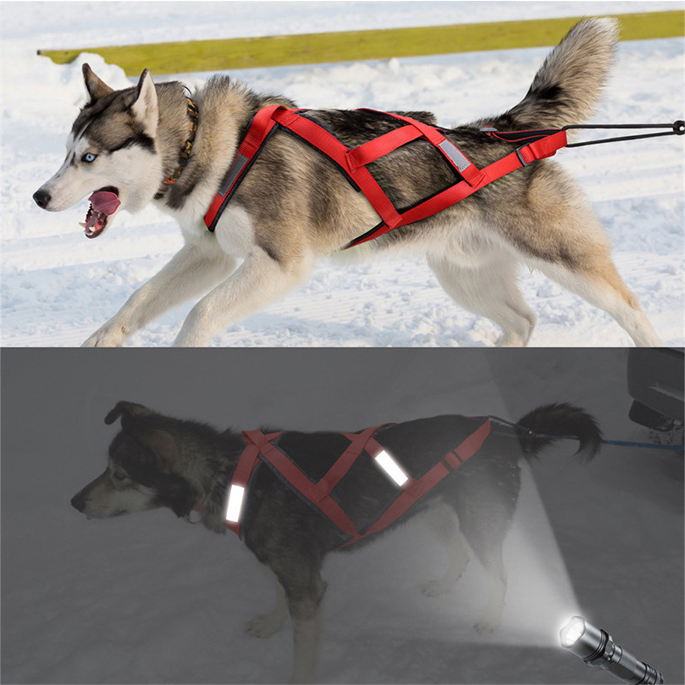 High Quality Big Dog Sledge Ha - đánh giá và giá Reflective Running Jacket