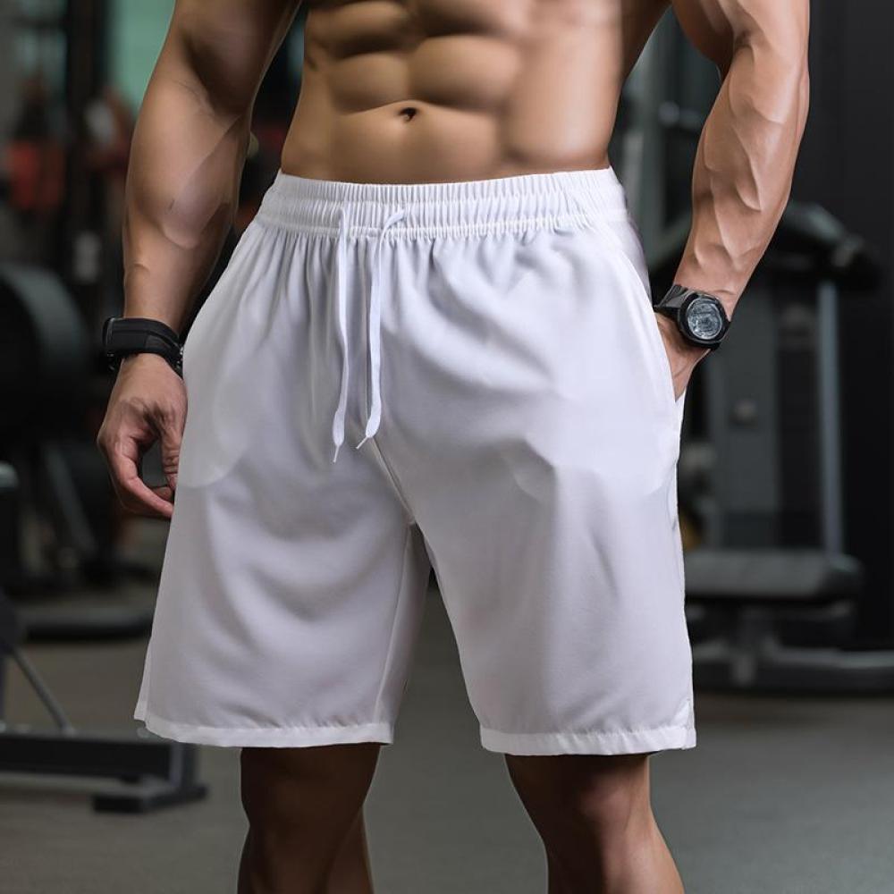 Mens Quick Dry Mesh Shorts Bre - đánh giá và giá Running Gear Quick Dry
